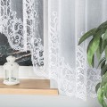 berenika5301604.jpeg